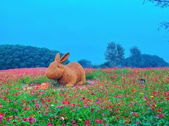 -嘉北郊野公园