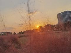 -映月湖中央公园