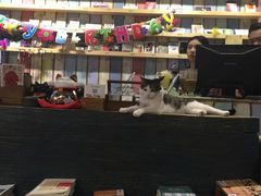 -小时光咖啡馆(开森度假森林店)