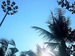 -乔木提恩海滩