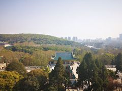 -武汉大学-樱园