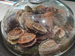 -大锅强·蒸海鲜青岛菜(吾悦广场店)