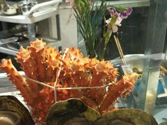 -339旋转餐厅(天府熊猫塔店)