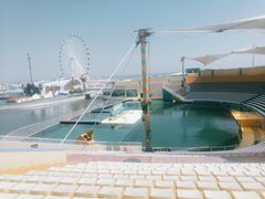 -秦皇岛乐岛海洋王国