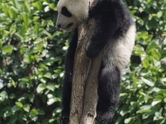 -众彩物流水产市场