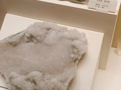 -天津自然博物馆