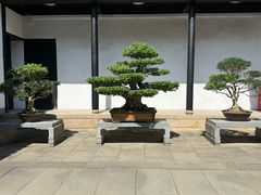-绮园景区