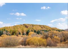 -塞罕坝国家级自然保护区