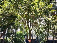 -天悦阁海景酒廊