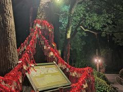 -乌镇景区