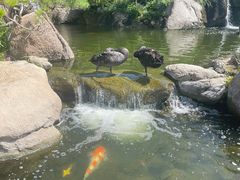 -罗红摄影艺术馆