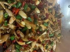 子姜蛙-呱呱兔庄