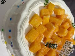 -今日·TODAY手作低脂动物奶油蛋糕定制(高新万达店)