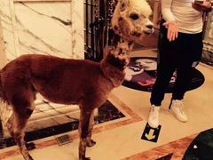 -南京阿波罗演艺广场