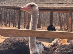 -秦皇岛野生动物园