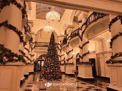 -Salon de Ville浦江汇(上海外滩华尔道夫酒店店)