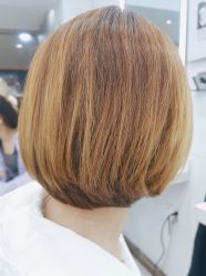 -镁连社·美联社