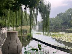 -文瀛公园