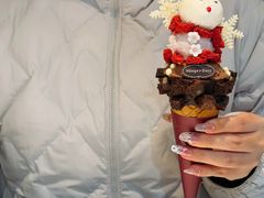 -哈根达斯(大洋百货店)