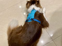 -骐奇宠物诊疗中心(南亭公路店)