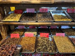 -昆虫窝子·特色云南菜(拓东路总店)