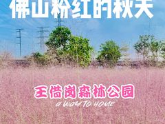 -王借岗森林公园