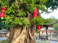 -芦苞胥江祖庙