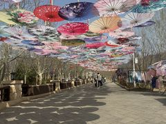 -静之湖湖畔餐厅