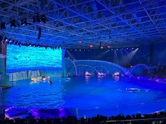 -海合安青岛极地海洋公园