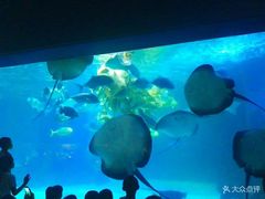 -常州海昌海洋探索馆