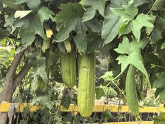 -宁波九龙湖开元度假村