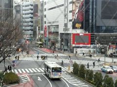 -涩谷区