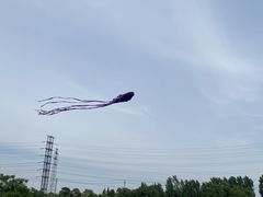 -漕湖湿地公园