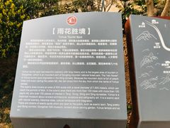 -雨花胜境