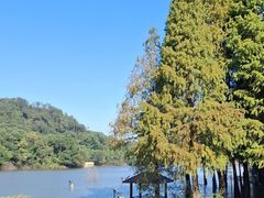 -梅州天地人花园酒店(梅县人民广场店)