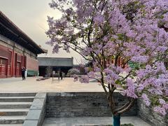 -鲍师傅糕点(西站店)