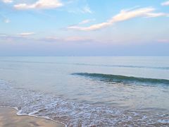-日照海滨国家森林公园