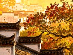 -塔川景区