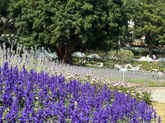 -龙环葡韵住宅式博物馆