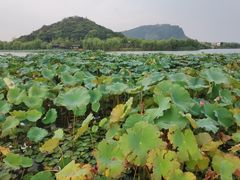 -湘湖大院(越王路店)