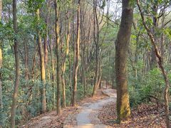 -西湖风景区十里琅珰-五云山