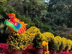 -鹅岭公园瞰胜楼