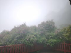-广州市石门国家森林公园