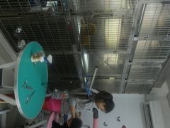 相机图片&nbsp;026-康旭宠物医院(郑州总院)