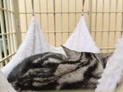 -情忆草原涮肉馆