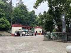 -大金鹰园