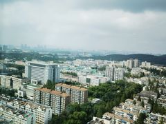 -南京维景国际大酒店(南京博物院店)