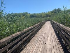 -马家湾湿地公园