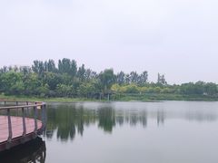 -东郊湿地公园
