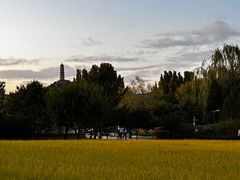 -北坞公园